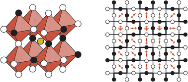 Graphical abstract: Anion-polarisation-directed short-range-order in antiperovskite Li2FeSO
