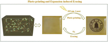 Graphical abstract: Photoprinting and expansion-induced erasure with supramolecular hydrogels crosslinked by pseudorotaxanation