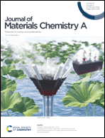 Graphical abstract: Front cover