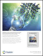 Graphical abstract: Back cover