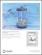 Graphical abstract: Inside back cover