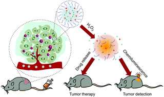 Graphical abstract: A H2O2-responsive theranostic platform for chemiluminescence detection and synergistic therapy of tumors