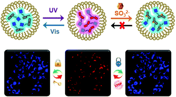 Graphical abstract: Fluorescence detection and imaging of intracellular sulphite using a remote light activatable photochromic nanoprobe