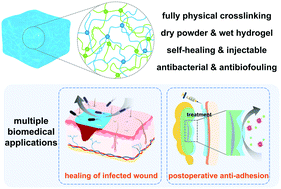 Graphical abstract: Facile preparation of a thermosensitive and antibiofouling physically crosslinked hydrogel/powder for wound healing