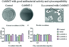 Graphical abstract: Co-exchanged montmorillonite: a potential antibacterial agent with good antibacterial activity and cytocompatibility