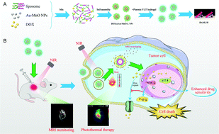 Graphical abstract: An injectable thermosensitive hydrogel loaded with a theranostic nanoprobe for synergistic chemo–photothermal therapy for multidrug-resistant hepatocellular carcinoma