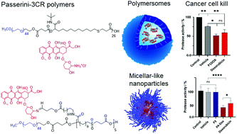 Graphical abstract: Passerini chemistries for synthesis of polymer pro-drug and polymersome drug delivery nanoparticles