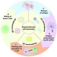 Graphical abstract: Supramolecular biomaterials for enhanced cancer immunotherapy
