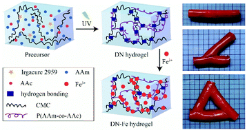 Graphical abstract: Stiff and strong hydrogel tube with great mechanical properties and high stability in various solutions