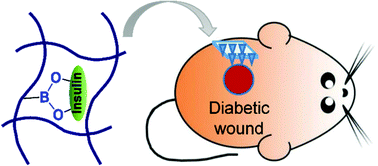 Graphical abstract: Responsive hydrogel-based microneedle dressing for diabetic wound healing