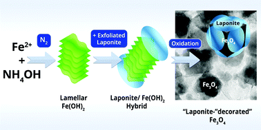 Graphical abstract: LAPONITE® nanodisk-“decorated” Fe3O4 nanoparticles: a biocompatible nano-hybrid with ultrafast magnetic hyperthermia and MRI contrast agent ability