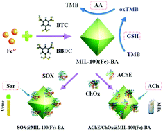 Graphical abstract: A versatile biomimetic multienzyme cascade nanoplatform based on boronic acid-modified metal–organic framework for colorimetric biosensing