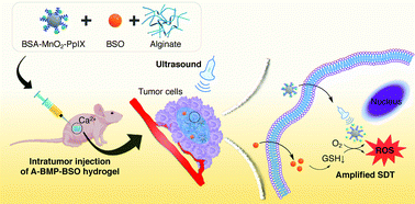 Graphical abstract: Tumor redox microenvironment modulating composite hydrogels for enhanced sonodynamic therapy of colorectal cancer