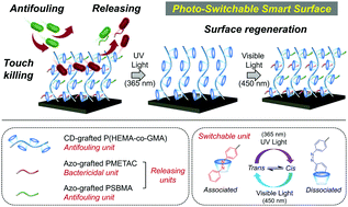 Graphical abstract: Photo-switchable supramolecular comb-like polymer brush based on host–guest recognition for use as antimicrobial smart surface