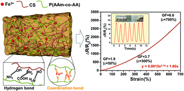 Graphical abstract: Chitosan-based double cross-linked ionic hydrogels as a strain and pressure sensor with broad strain-range and high sensitivity