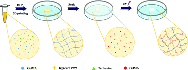 Graphical abstract: A high-performance GelMA–GelMA homogeneous double-network hydrogel assisted by 3D printing