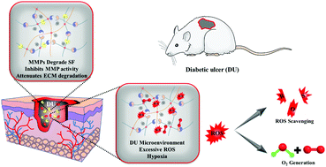 Graphical abstract: Bio-fabricated nanocomposite hydrogel with ROS scavenging and local oxygenation accelerates diabetic wound healing