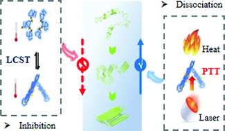 Graphical abstract: Near-infrared irradiation controlled thermo-switchable polymeric photosensitizer against β-amyloid fibrillation