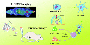 Graphical abstract: 68Ga-labeled dendrimer-entrapped gold nanoparticles for PET/CT dual-modality imaging and immunotherapy of tumors