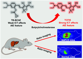 Graphical abstract: Ratiometric imaging of butyrylcholinesterase activity in mice with nonalcoholic fatty liver using an AIE-based fluorescent probe