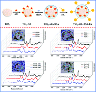 Graphical abstract: A TiO2-based bioprobe enabling excellent SERS activity in the detection of diverse circulating tumor cells