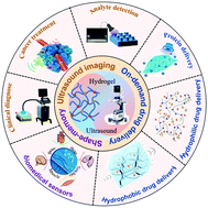 Graphical abstract: Advances in ultrasound-responsive hydrogels for biomedical applications