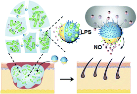 Graphical abstract: Nitric oxide-propelled nanomotors for bacterial biofilm elimination and endotoxin removal to treat infected burn wounds