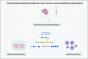 Graphical abstract: Carbohydrate based biomaterials for neural interface applications