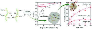 Graphical abstract: Thiolated cationic poly(aspartamides) with side group dependent gelation properties for the delivery of anionic polyelectrolytes