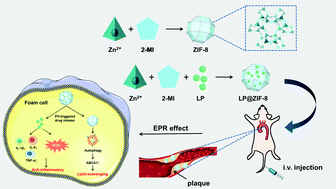 Graphical abstract: Targeted therapy of atherosclerosis by zeolitic imidazolate framework-8 nanoparticles loaded with losartan potassium via simultaneous lipid-scavenging and anti-inflammation