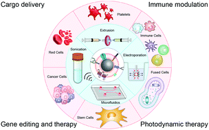 Graphical abstract: Cell membrane-engineered nanoparticles for cancer therapy