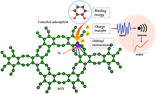 Graphical abstract: Catechol sensor based on pristine and transition metal embedded holey graphyne: a first-principles density functional theory study