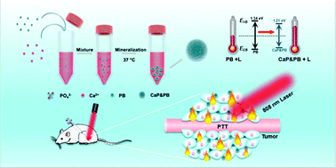 Graphical abstract: A biomineralized Prussian blue nanotherapeutic for enhanced cancer photothermal therapy