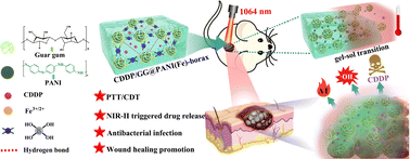 Graphical abstract: A NIR-II light-modulated injectable self-healing hydrogel for synergistic photothermal/chemodynamic/chemo-therapy of melanoma and wound healing promotion