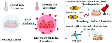 Graphical abstract: Doxorubicin-encapsulated thermosensitive liposome-functionalized photothermal composite scaffolds for synergistic photothermal therapy and chemotherapy