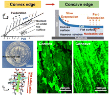 Graphical abstract: Orientation-controlled crystallization of γ-glycine films with enhanced piezoelectricity