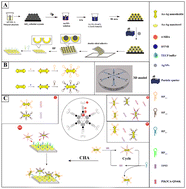 Graphical abstract: Highly sensitive and simultaneous detection of ctDNAs related to non-small cell lung cancer in serum using a catalytic hairpin assembly strategy in a SERS microfluidic chip