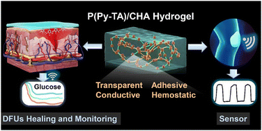 Graphical abstract: A smart hydrogel patch with high transparency, adhesiveness and hemostasis for all-round treatment and glucose monitoring of diabetic foot ulcers
