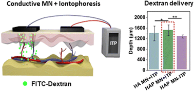 Graphical abstract: Transdermal delivery of dextran using conductive microneedles assisted by iontophoresis