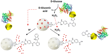 Graphical abstract: An enzyme-controlled mesoporous nanomachine for triple-responsive delivery