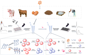 Graphical abstract: A label-free dual-modal aptasensor for colorimetric and fluorescent detection of sulfadiazine