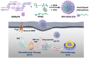 Graphical abstract: Nitric oxide-containing supramolecular polypeptide nanomedicine based on [2]biphenyl-extended-pillar[6]arenes for drug resistance reversal