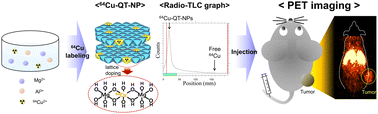 Graphical abstract: Dilute lattice doping of 64Cu into 2D-nanoplates: its impact on radio-labeling efficiency and stability for target selective PET imaging