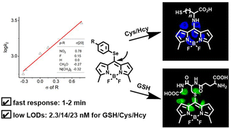 Graphical abstract: Real-time, sensitive and simultaneous detection of GSH and Cys/Hcy by 8-substituted phenylselenium BODIPYs: a structure–activity relationship