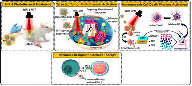 Graphical abstract: Targeted NIR-responsive theranostic immuno-nanomedicine combined TLR7 agonist with immune checkpoint blockade for effective cancer photothermal immunotherapy