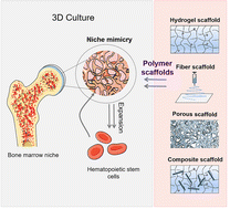 Graphical abstract: Biomedical polymer scaffolds mimicking bone marrow niches to advance in vitro expansion of hematopoietic stem cells
