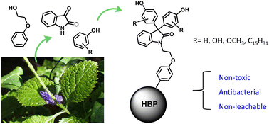 Graphical abstract: Biocompatible non-leachable antimicrobial polymers with a nonionic hyperbranched backbone and phenolic terminal units