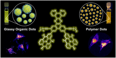 Graphical abstract: Polymer dots and glassy organic dots using dibenzodipyridophenazine dyes as water-dispersible TADF probes for cellular imaging