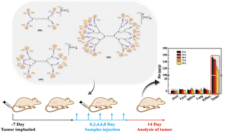Graphical abstract: New insights into ruthenium(ii) metallodendrimers as anticancer drug nanocarriers: from synthesis to preclinic behaviour