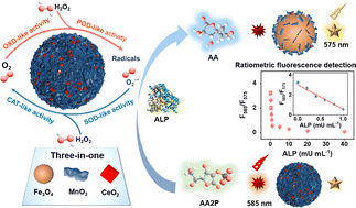 Graphical abstract: “Three-in-one” nanocomposites as multifunctional nanozymes for ultrasensitive ratiometric fluorescence detection of alkaline phosphatase